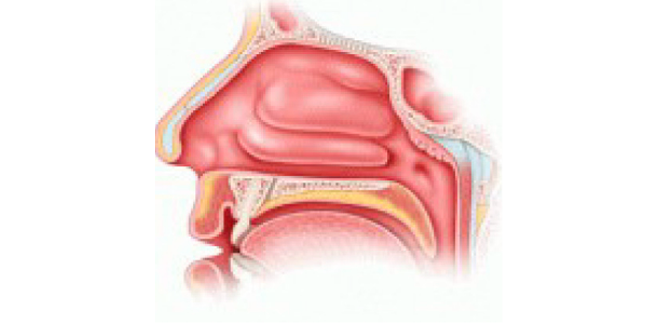 Post_intervento_radiofrequenze